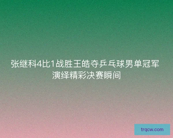 张继科4比1战胜王皓夺乒乓球男单冠军 演绎精彩决赛瞬间